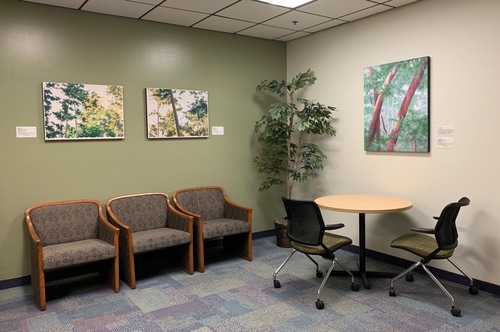 Works Installed in Alameda Public Collection